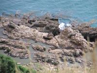 Albums/20060200-New Zealand 2006/20060313-Catlins/67